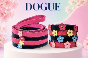 Handcrafted DOGUE Flower Pop Dog Collar and Matching Lead