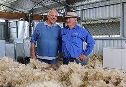 Wool Products Australia: Traceable wool from a tight-knit business
