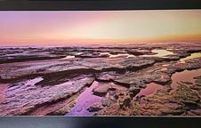 Raw OZ Images - A Moment Frozen In Time To Last Forever