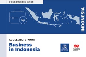 Accelerate your eCommerce in Indonesia Program - four FREE spots available*